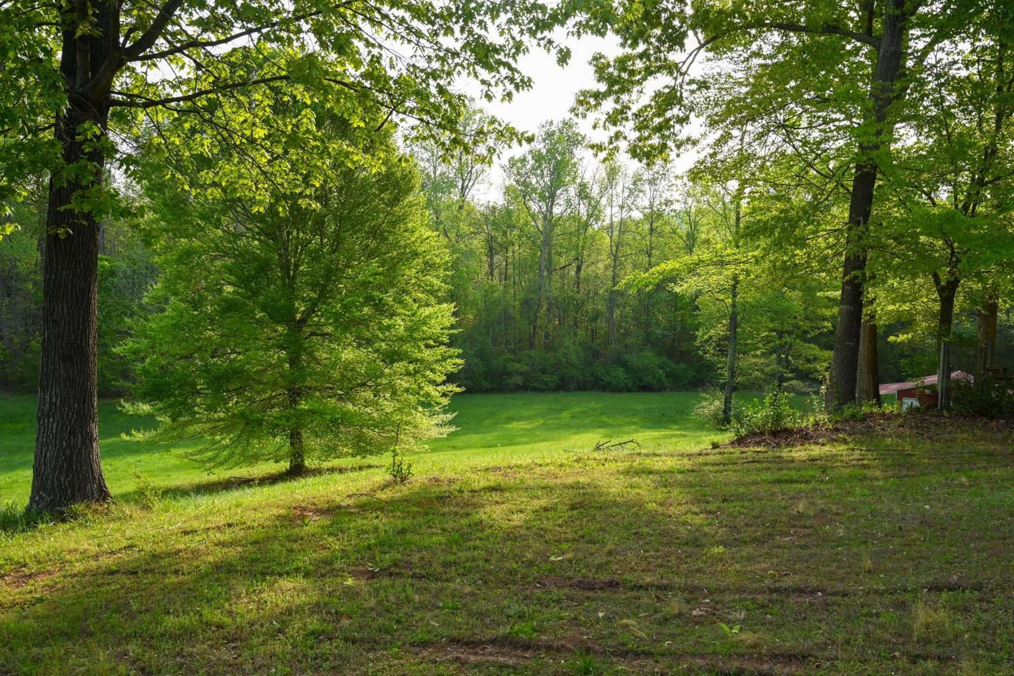 Southern Home And Fishing Lake. Gainesville Extérieur photo